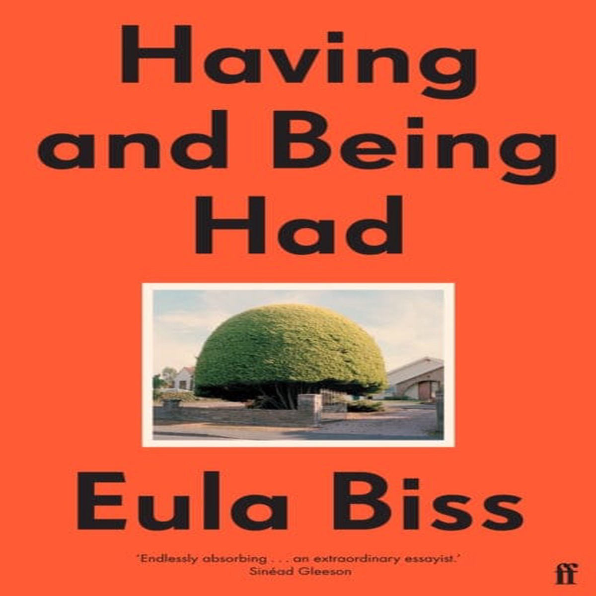 Having and Being Had by Eula Biss